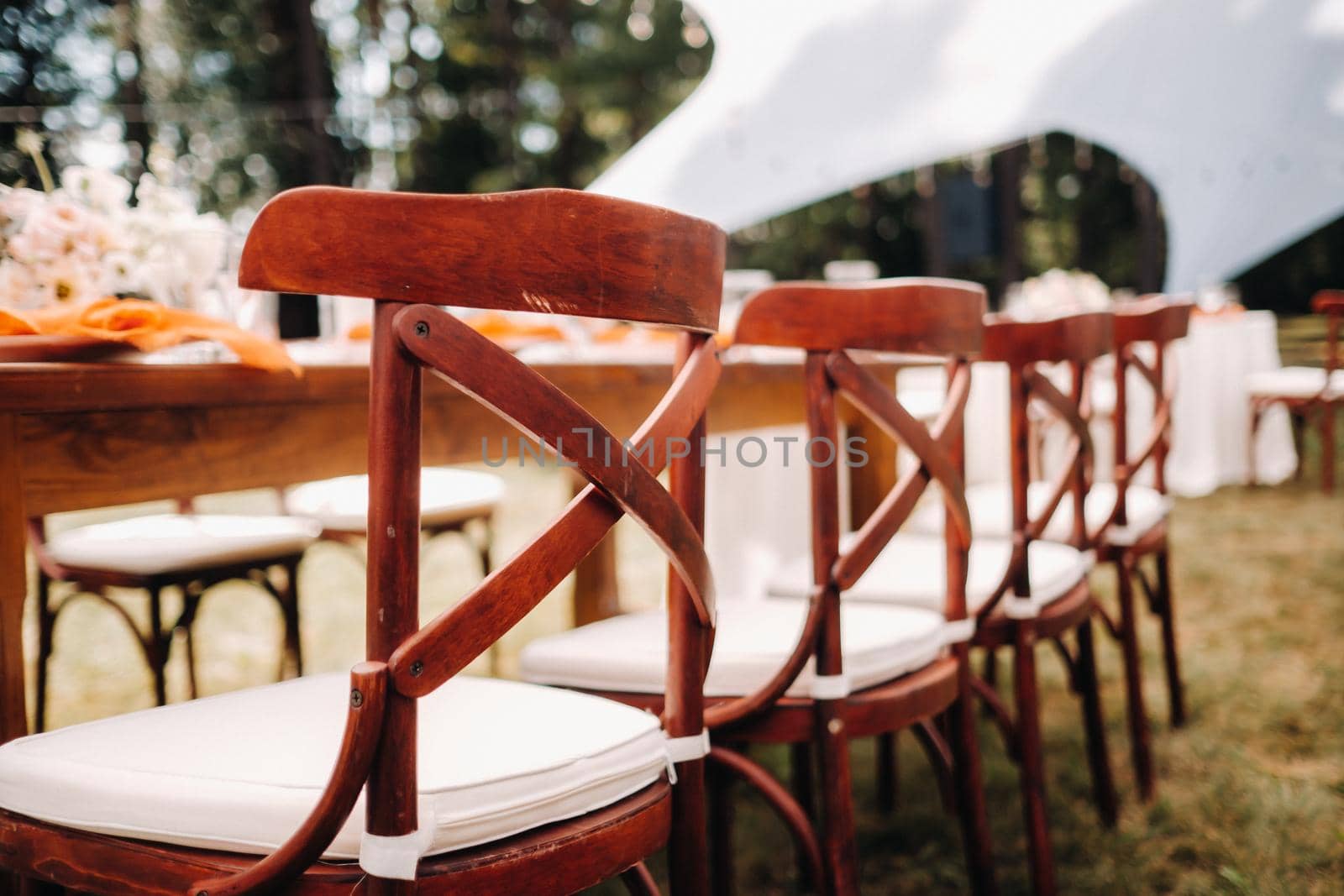 Beautiful Wedding Chairs, Wedding Dinner Table Decor by Lobachad