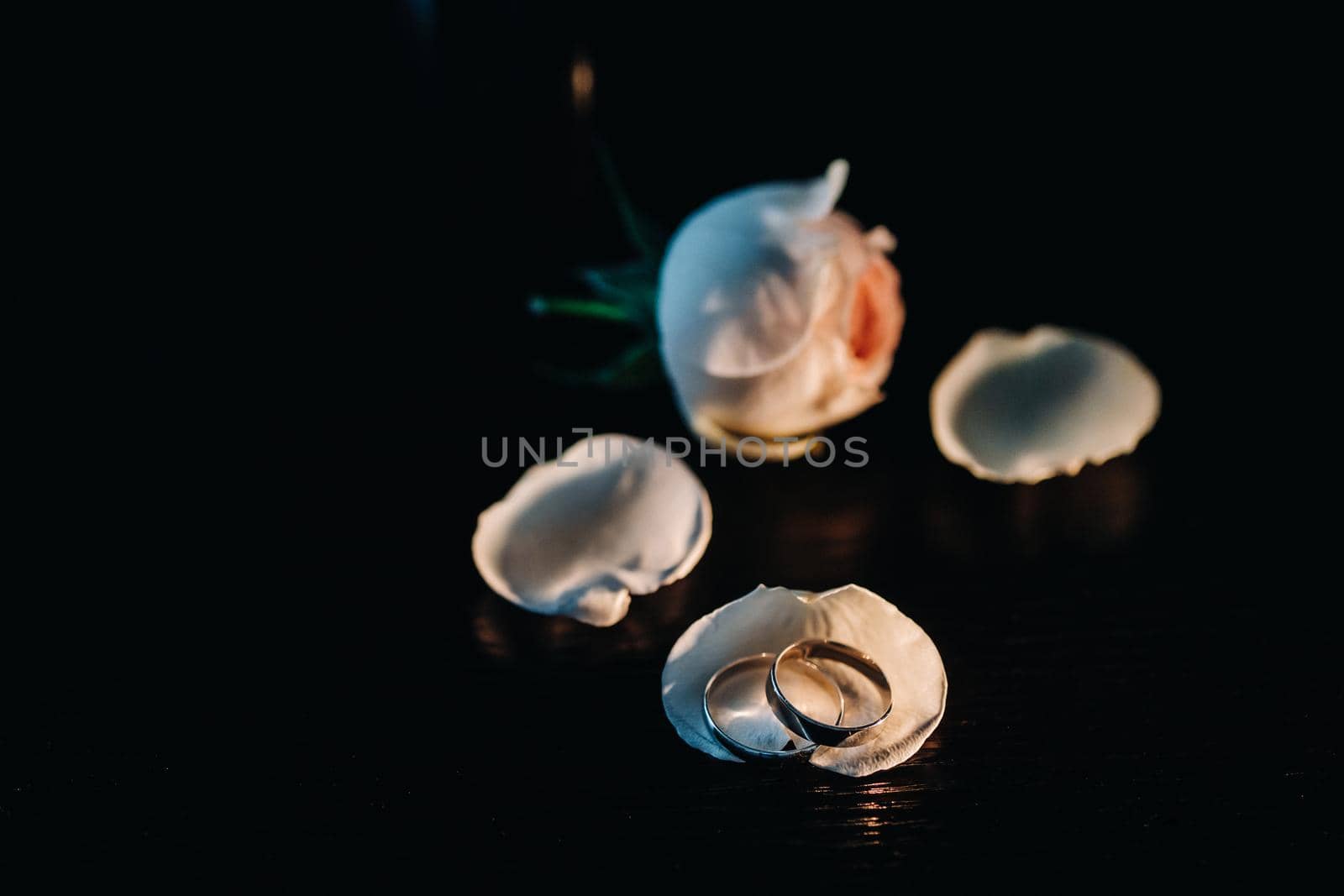 Close-up of two gold wedding rings in shells On a black background.Wedding ring.Wedding ring.