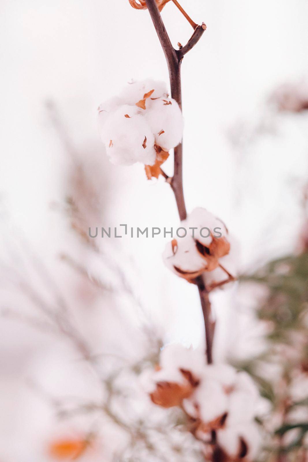 decoration with fluffy flowers on the table in winter style at the wedding.