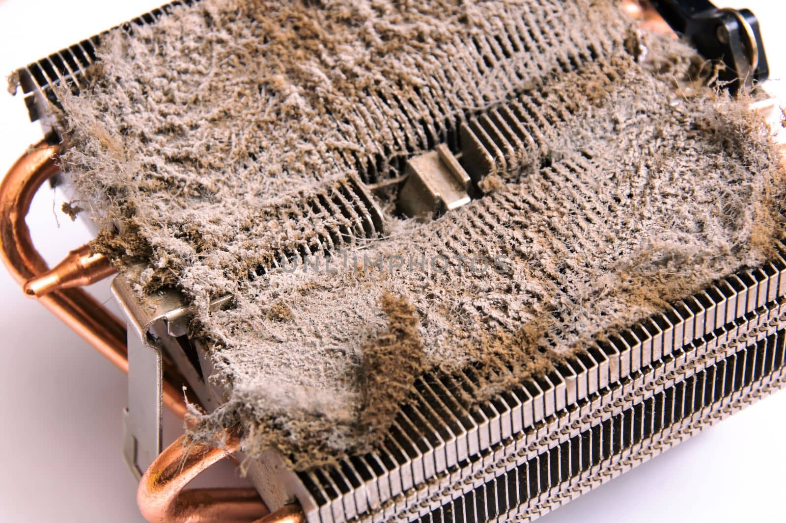 Dust on the fan in the computer close up