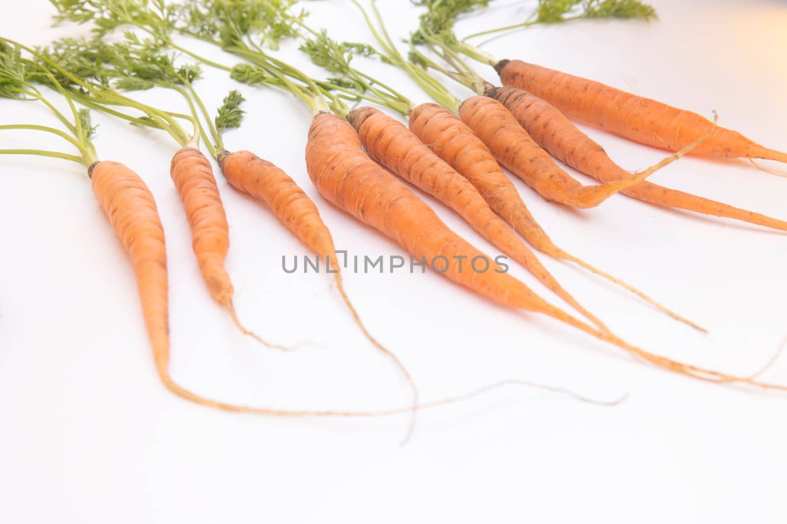 organic carrot isolated on white background , eco product