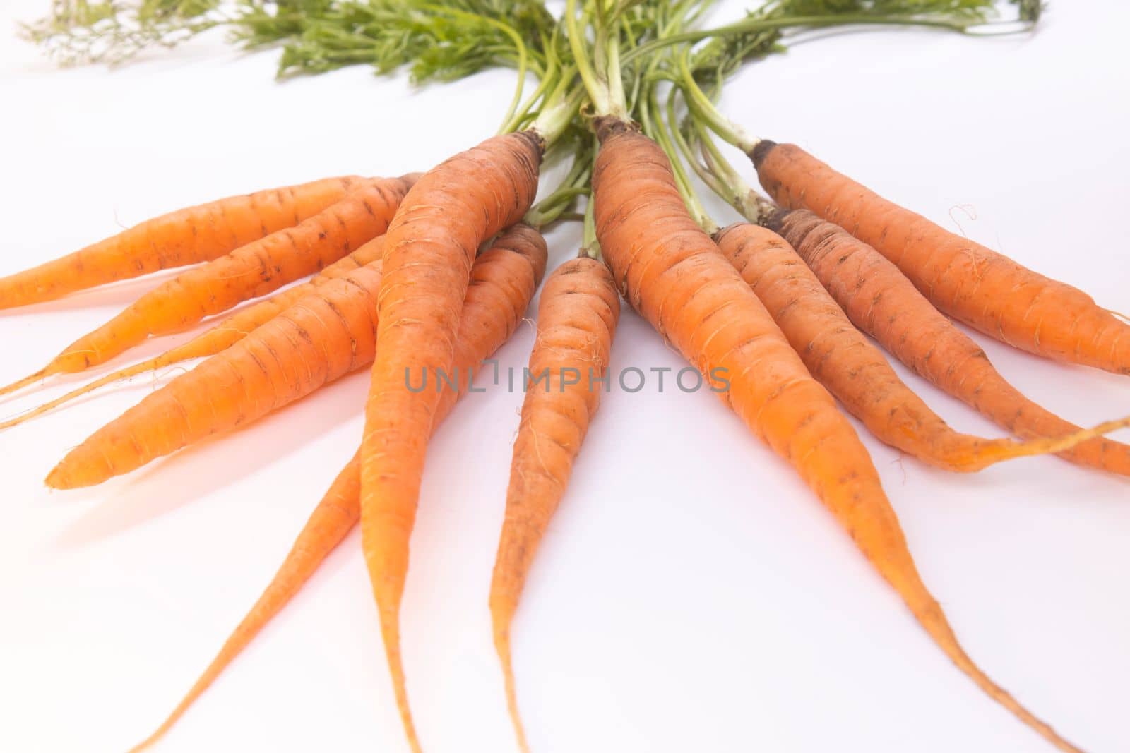 organic carrots grown in the garden on a white background , eco product