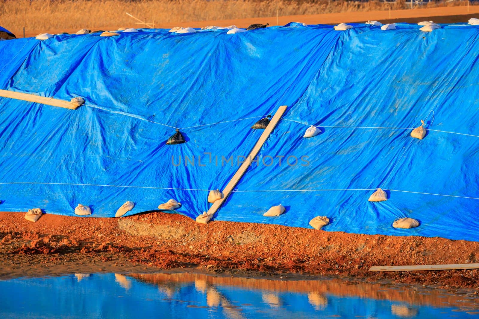 Sandbags hold down large blue tarp next to puddle on construction site. High quality photo