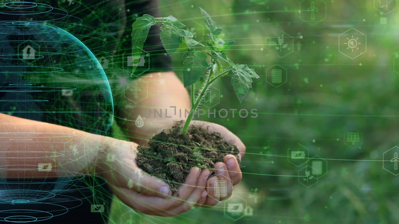 close up hands holding sapling of young oak tree. palms embrace the soil stem a small tree. blurred green background, black shirt. concept nature conservation, Earth protection, reforestation by senkaya