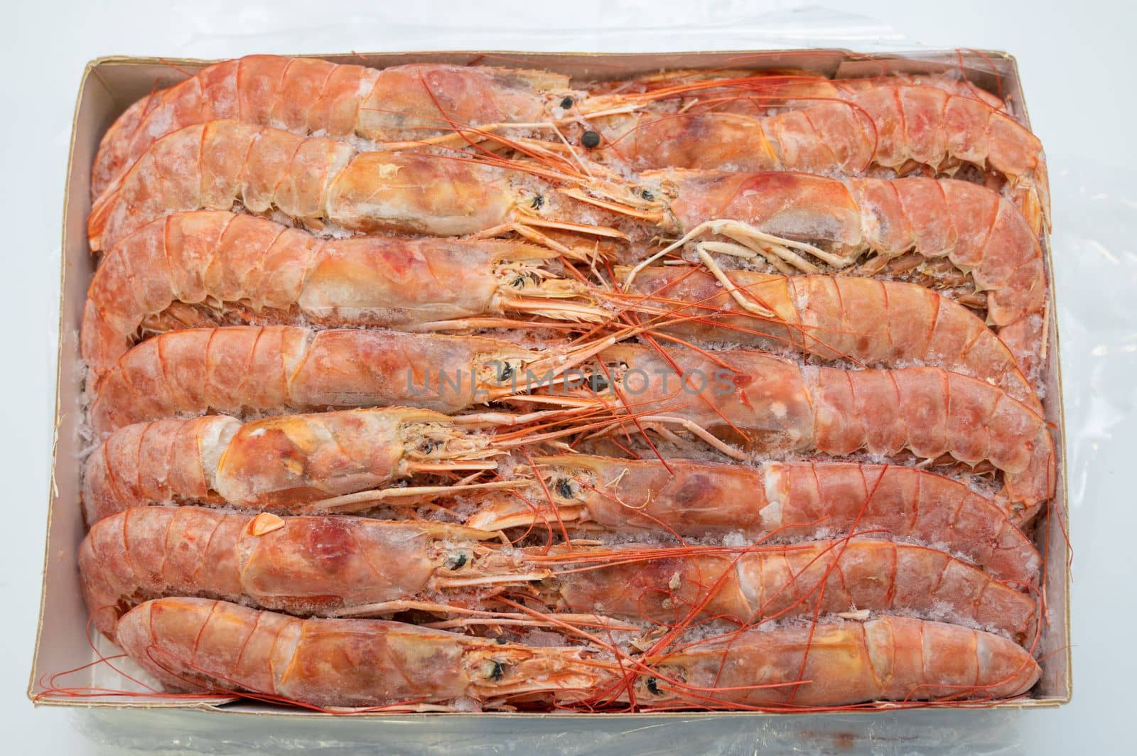 Frozen big king size shrimp in fridge at the fish market. Healthy eating and fish market concept