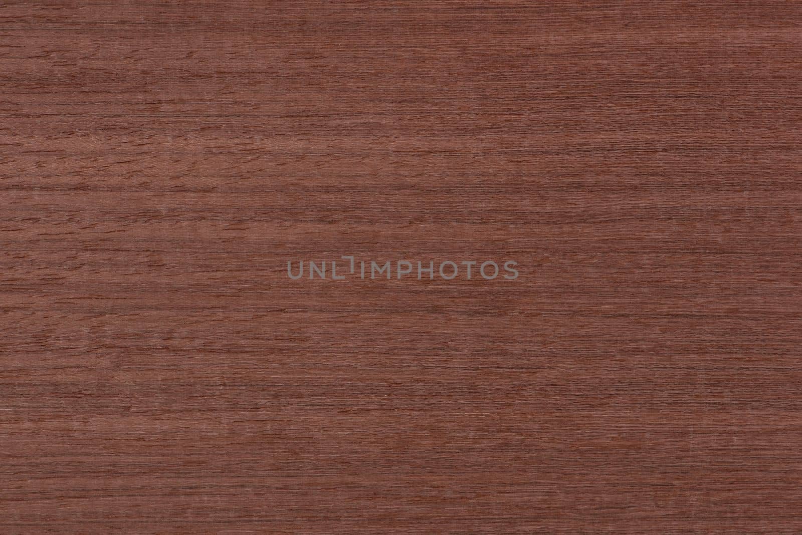 Texture of mahogany. Texture of koto wood with a reddish brown tint. Exotic rare wood from Africa for the production of expensive furniture or interior elements by SERSOL