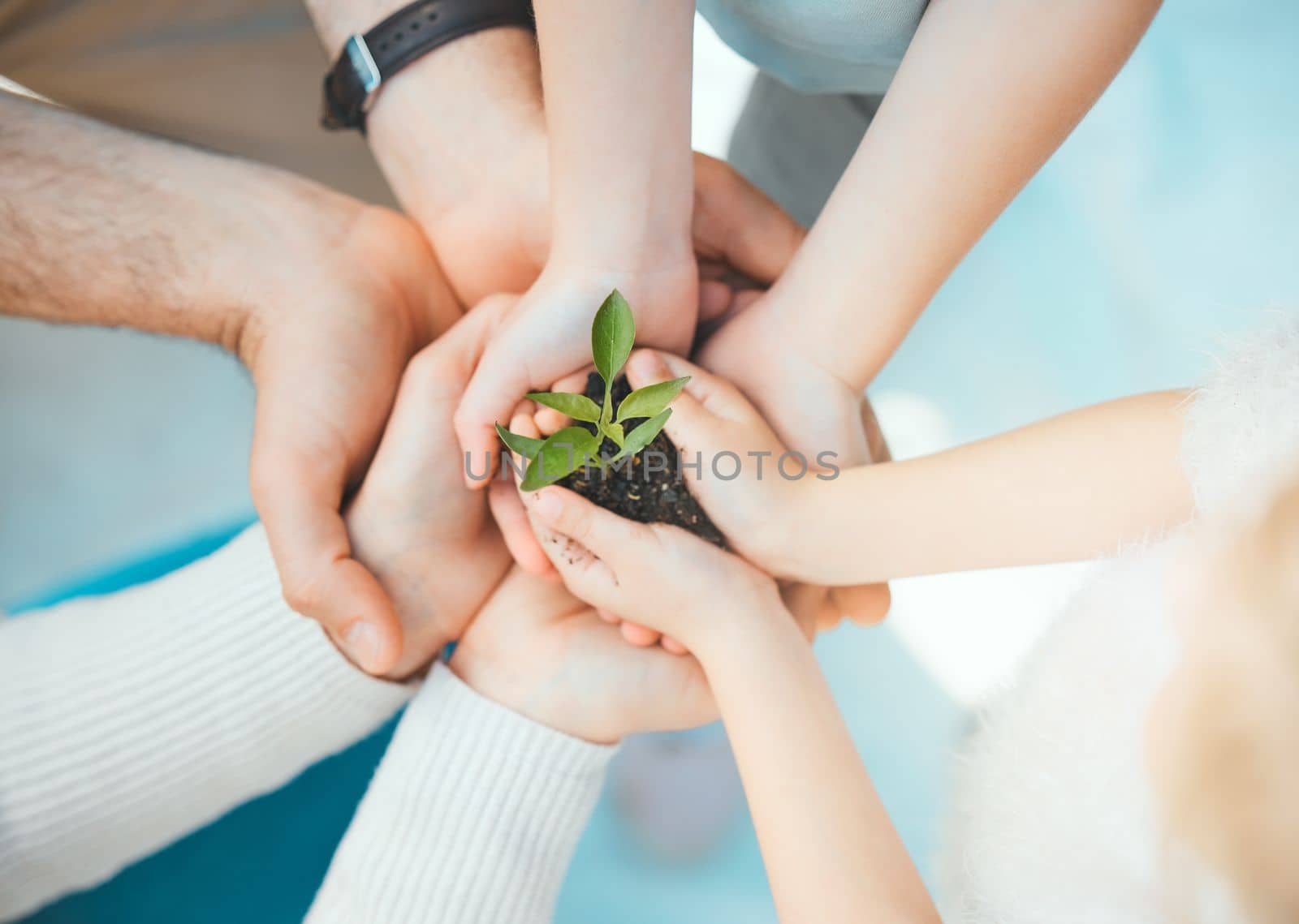 Family is there to support you and honor your decisions. a unrecognizable family holding plants growing out of soil
