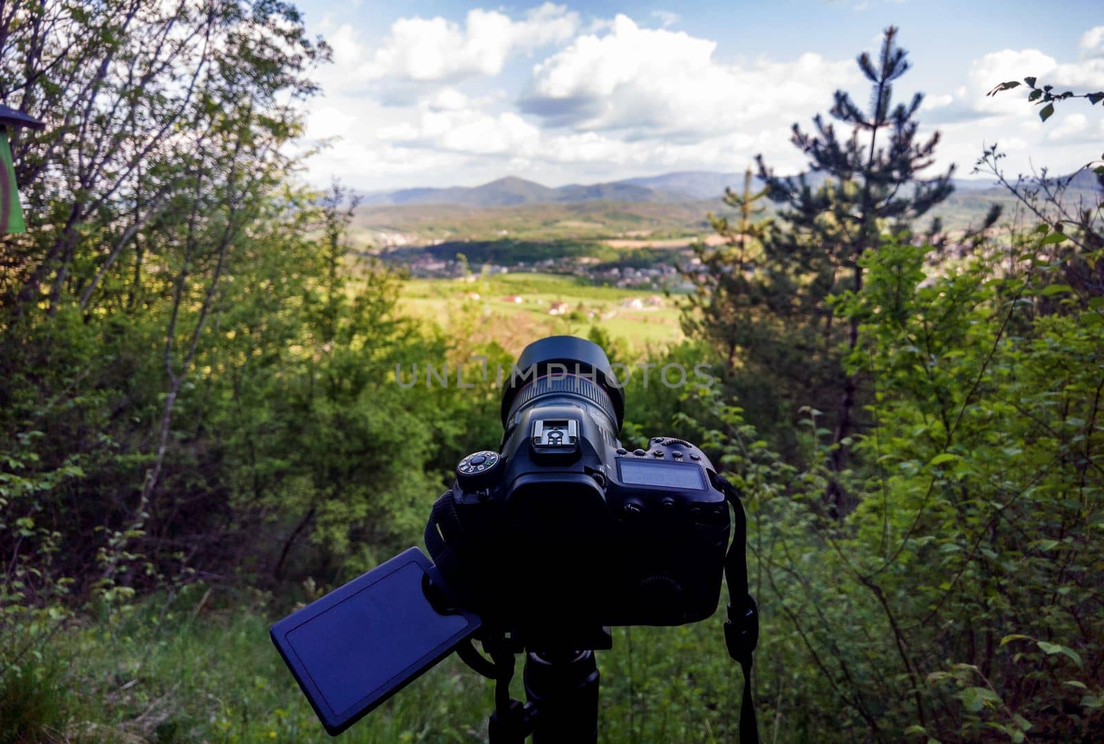 A camera on a tripod standing between trees shooting landscape