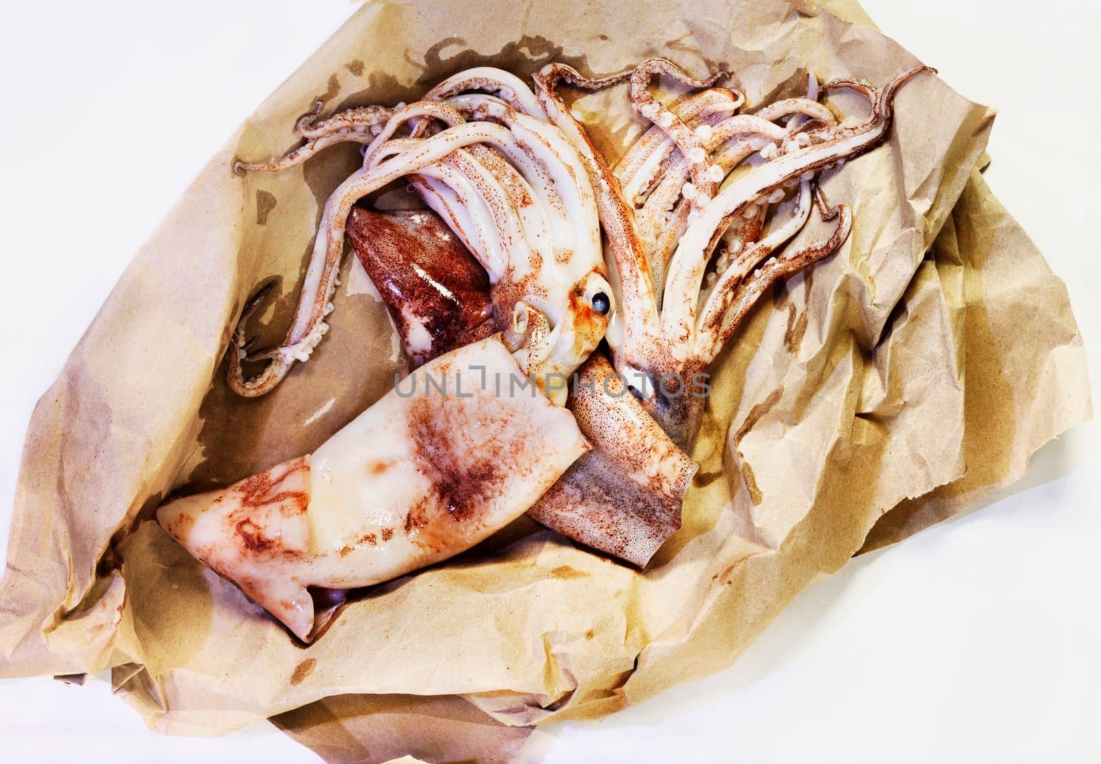Fresh uncooked  flying squid  fish on brown paper ,uncooked fish 