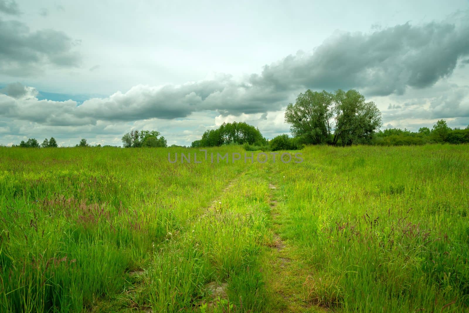 Path through meadow and cloudy sky, eastern Poland