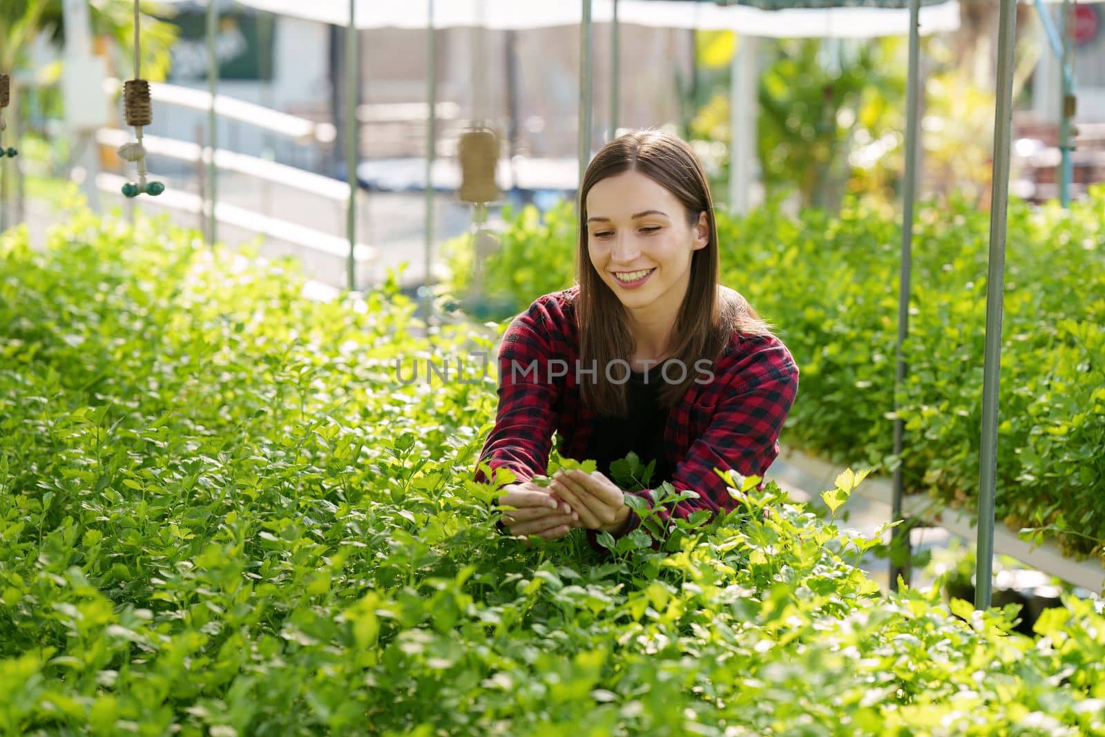 Portrait of farm owner smiling. Asian female business working at organic farm and quality control by itchaznong