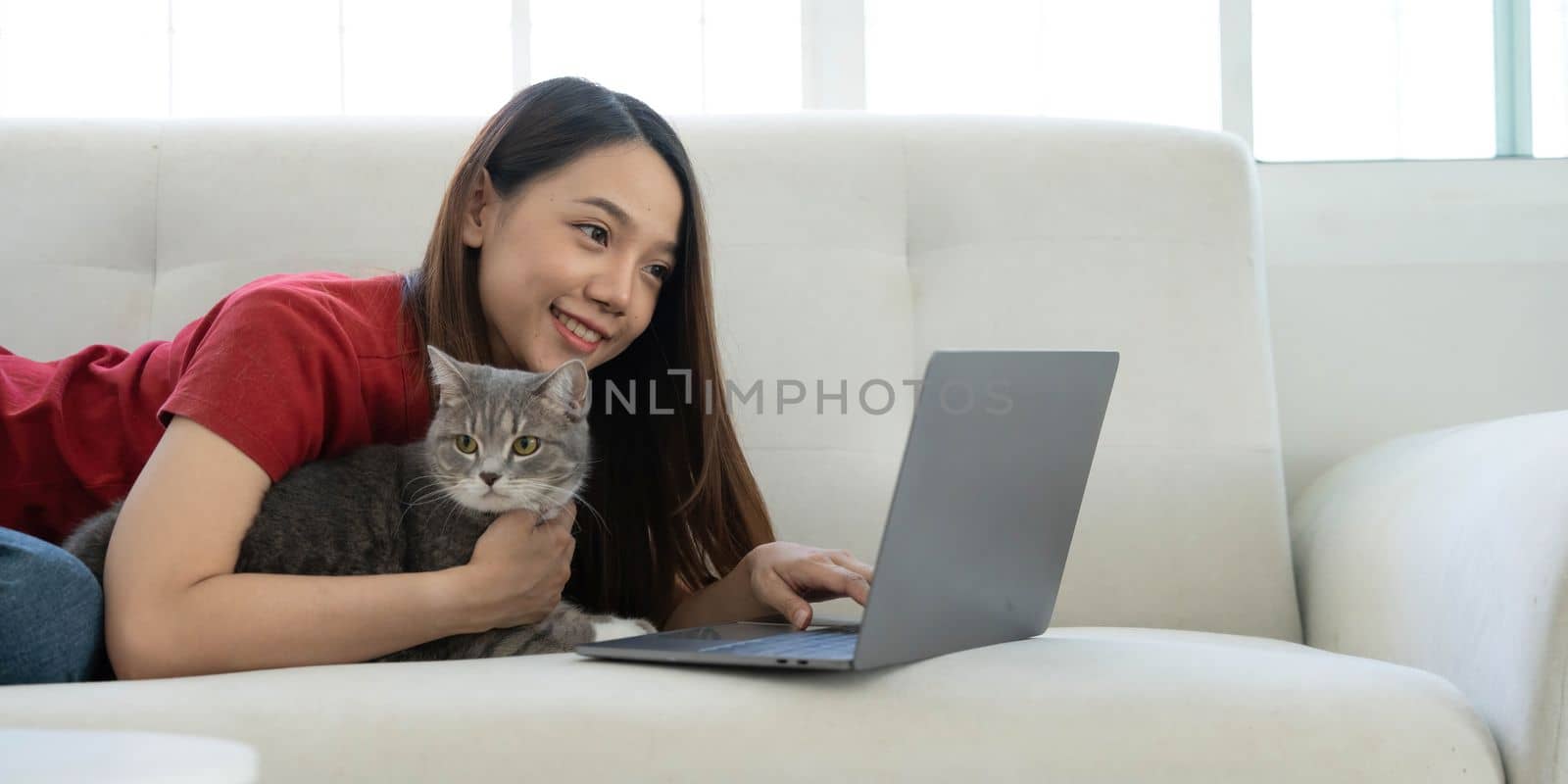 Pretty young woman using laptop and her beautiful cute thai cat sitting on the coach by the window, backlit warm light. Enjoying leisure time at home. by wichayada