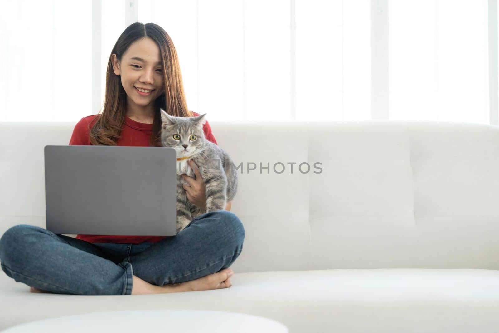 Pretty young woman using laptop and her beautiful cute thai cat sitting on the coach by the window, backlit warm light. Enjoying leisure time at home...