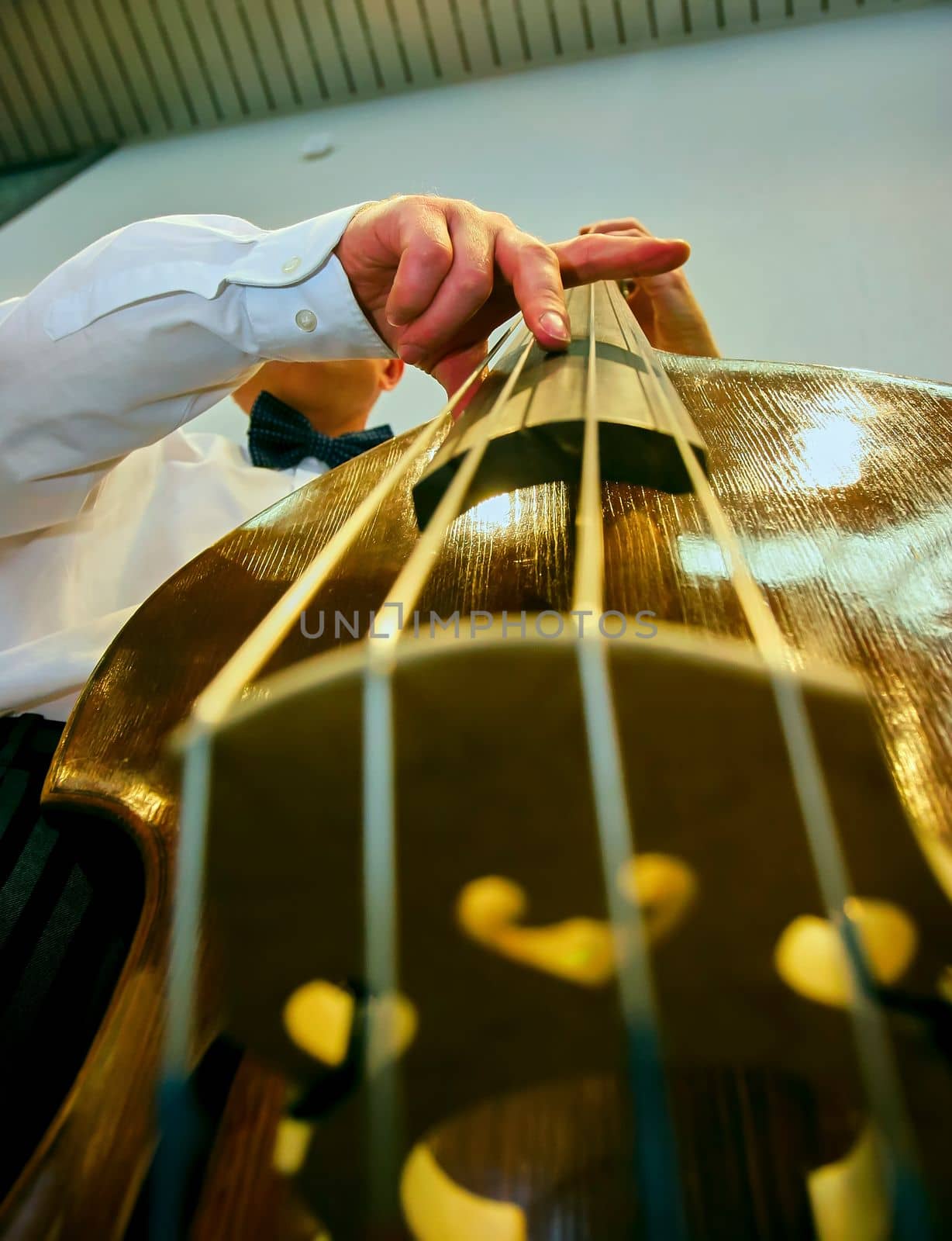 Hands of a musician playing the double bass. Jazz musician performs at a concert.