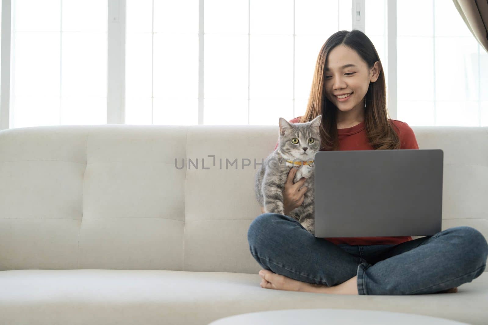 Pretty young woman using laptop and her beautiful cute thai cat sitting on the coach by the window, backlit warm light. Enjoying leisure time at home. by wichayada