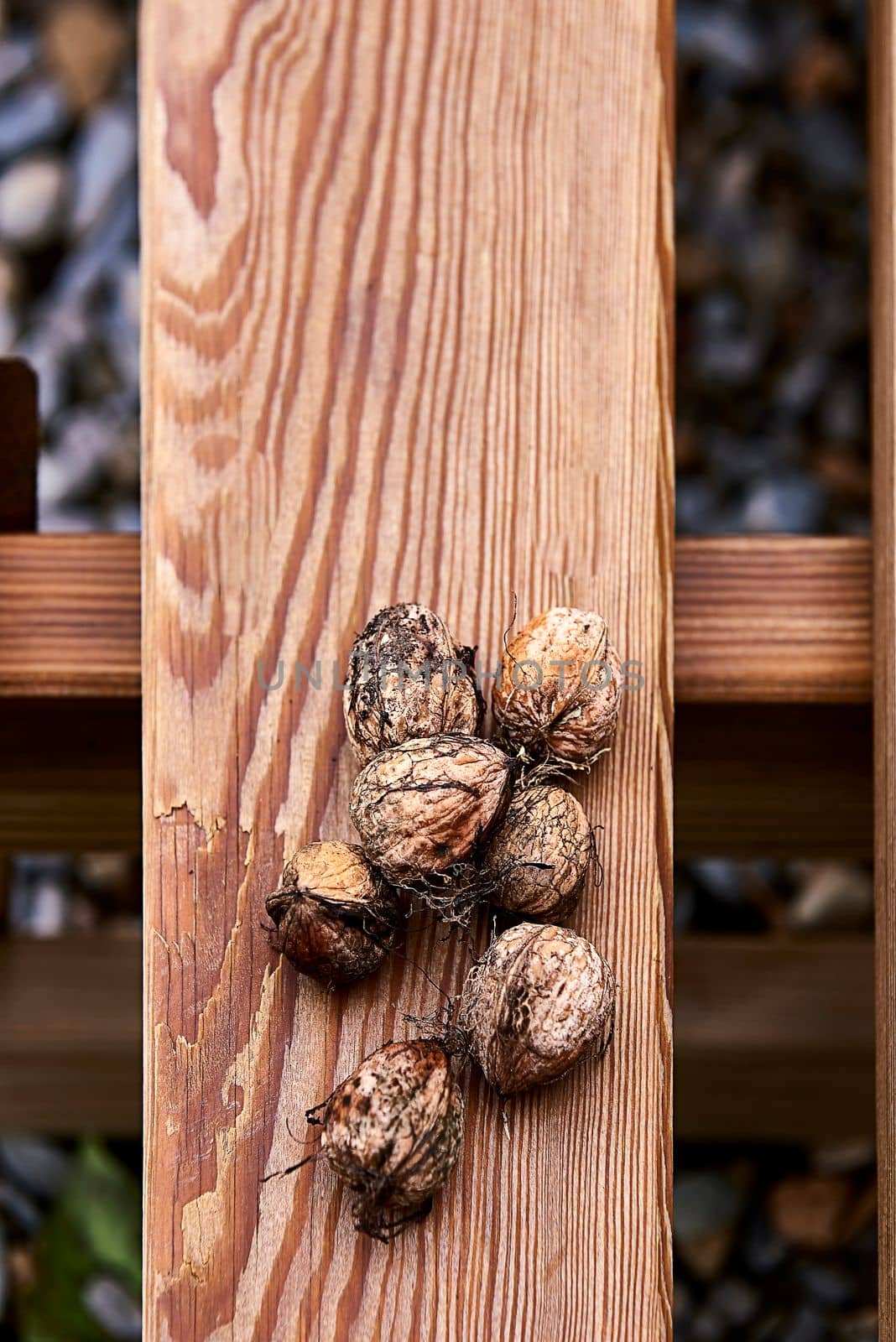 Group of in-shell walnuts stacked on wooden board by raul_ruiz