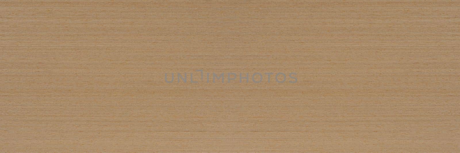 Wood texture, ash veneer texture for furniture, doors or flooring. Light ash wood veneer, top view