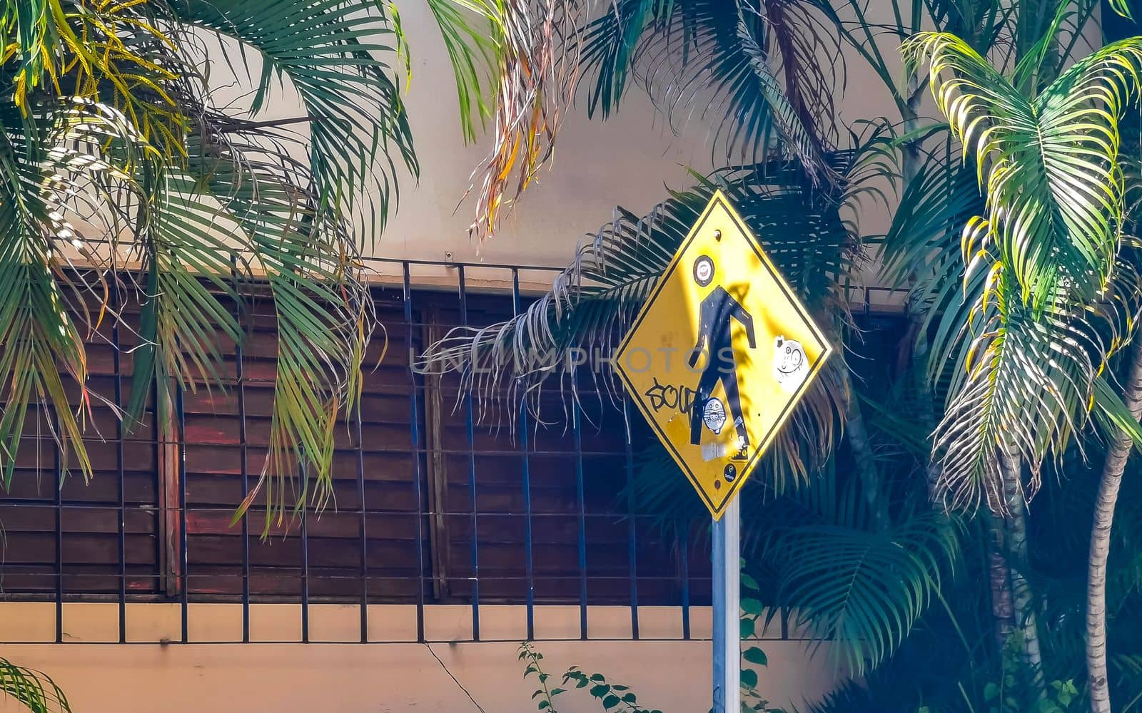 Yellow pedestrian sign street signin Playa del Carmen Mexico. by Arkadij