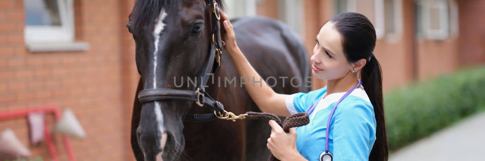 Female doctor in uniform with horse in stable by kuprevich