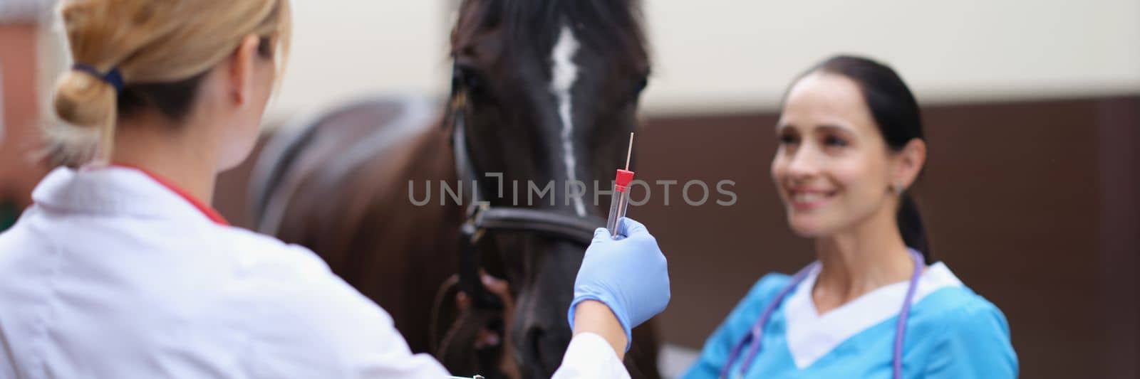 Two veterinarians are examining horse holding test tube for biological analysis by kuprevich