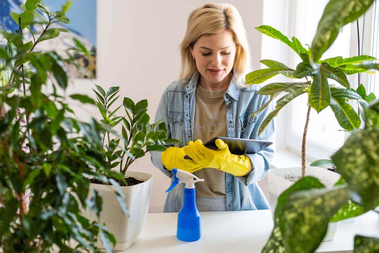 Young happy woman is spraying houseplants with water from a sprayer at home. There are a lot of indoor plants in the room. Home gardening. Hobby concept. Biophilia design, urban jungle concept