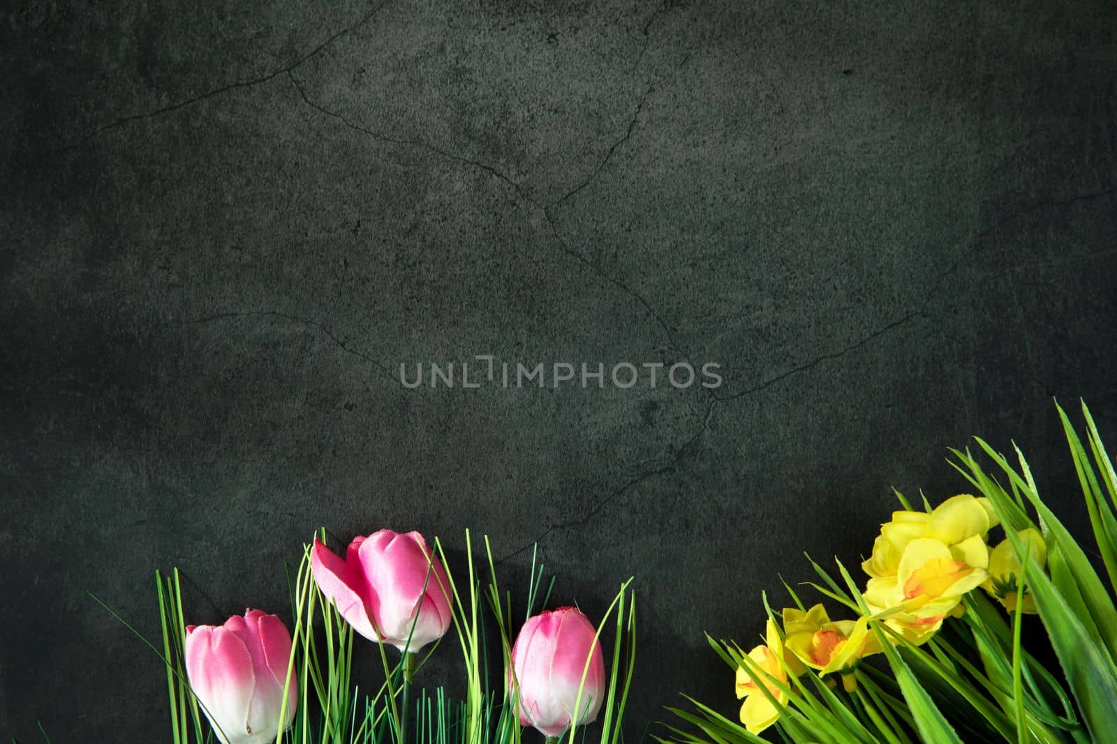 Fresh pink and yellow flowers border with copy space on gray concrete background, flat lay. daisies and tulips, copy space by Annebel146