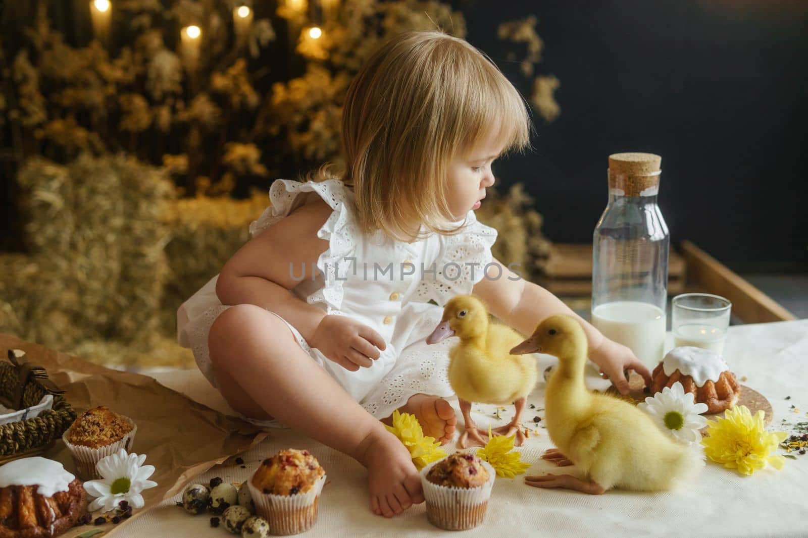 A little girl is sitting on the Easter table and playing with cute fluffy ducklings. The concept of celebrating happy Easter