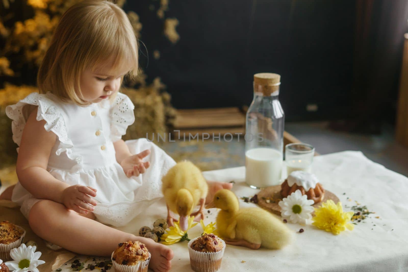 A little girl is sitting on the Easter table and playing with cute fluffy ducklings. The concept of celebrating happy Easter