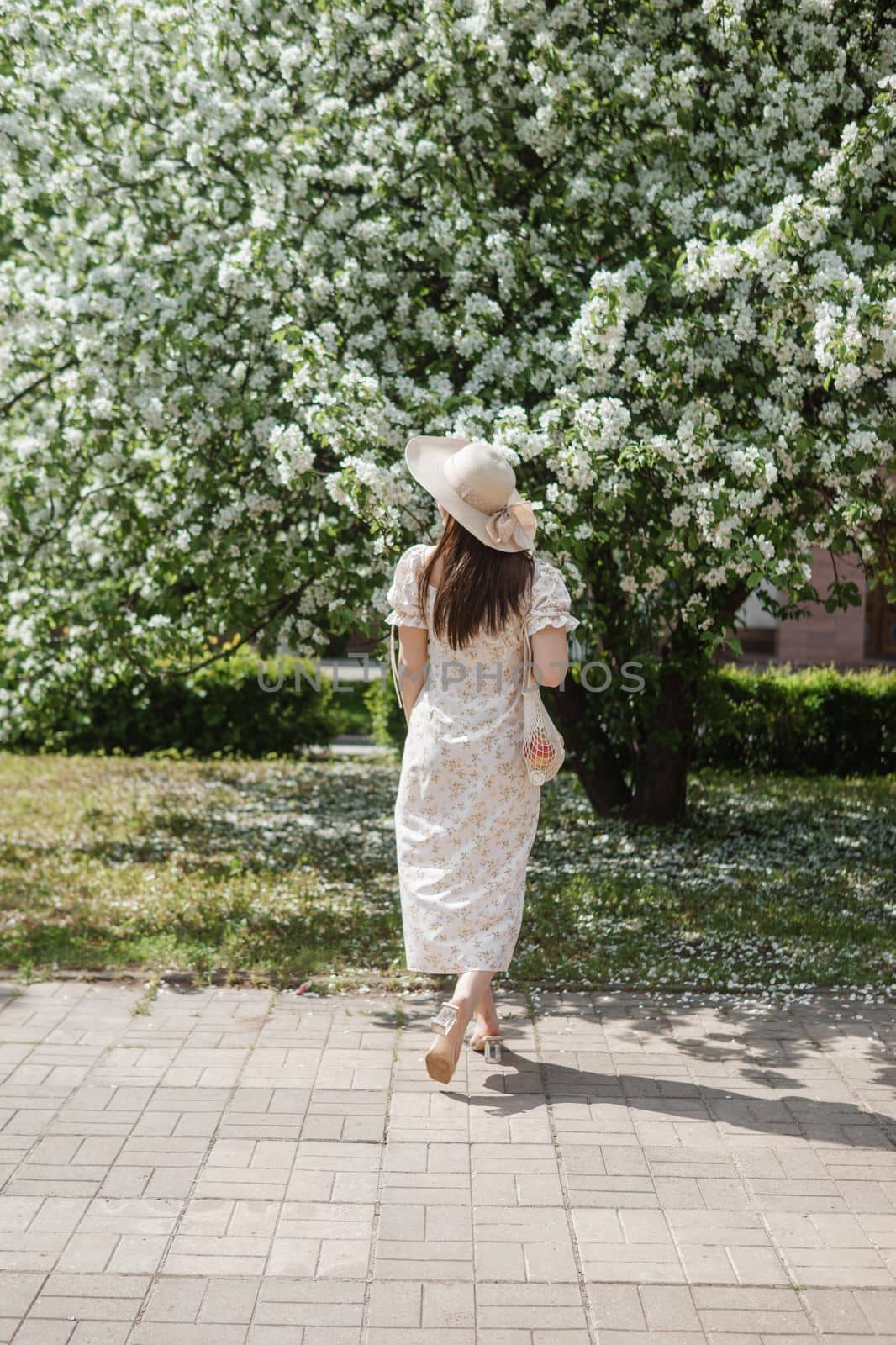 An attractive long-haired woman walks in the spring in the park of blooming apple trees. by Annu1tochka