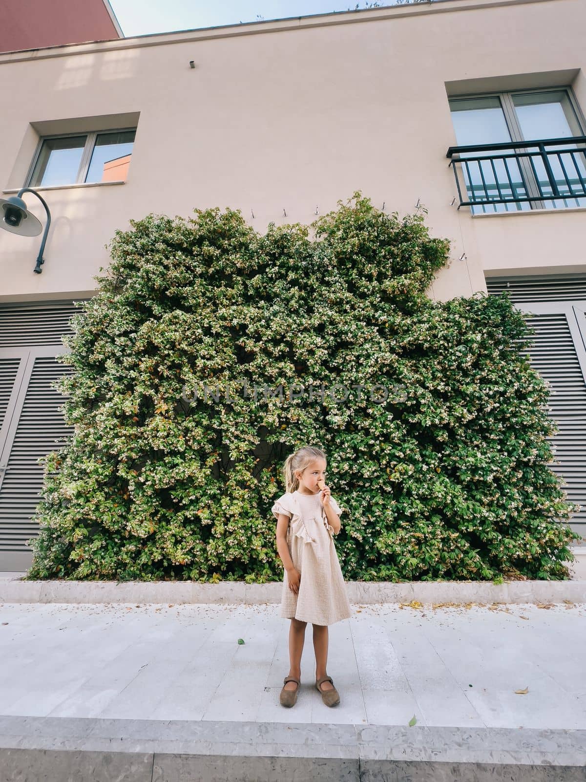 Little girl eating ice cream cone near the green hedge near the house. High quality photo