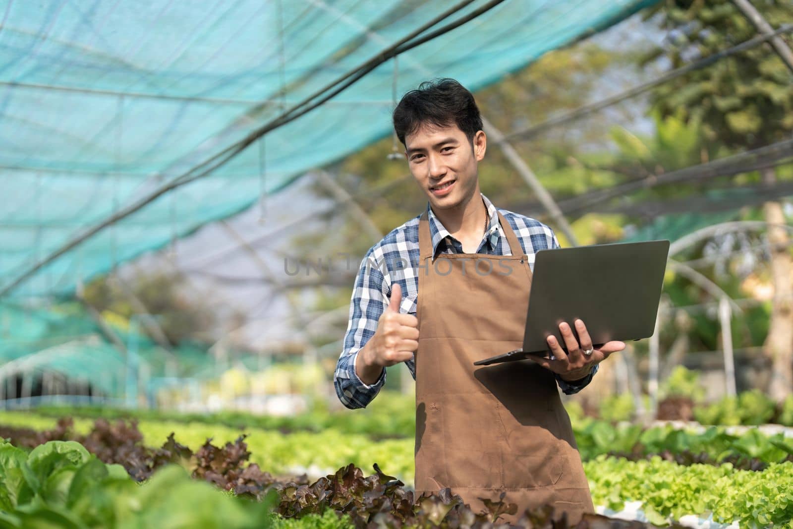 Young Asian farmer farmer record data in his farm, trying to collect and inspect the vegetables in laptop by nateemee