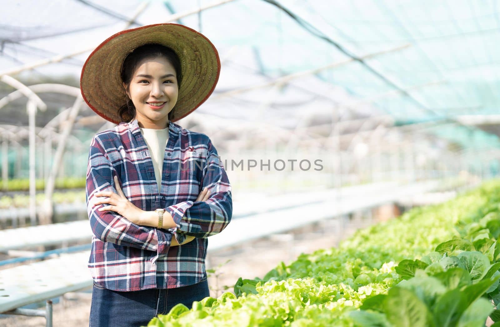 Young Asian farmer pretty girl working in vegetables hydroponic farm with happiness. She is looking and using hands check the quality of vegetables. Business of healthy food by nateemee