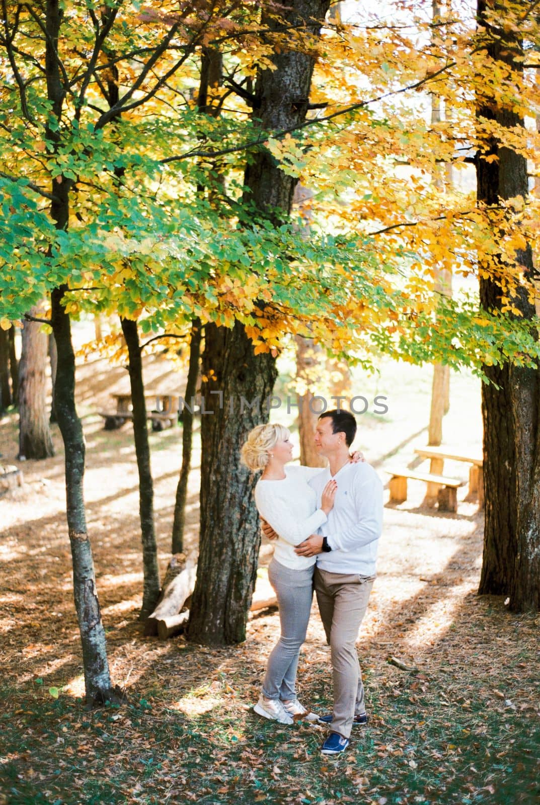 Man and woman stand hugging in the autumn forest under a tree. High quality photo