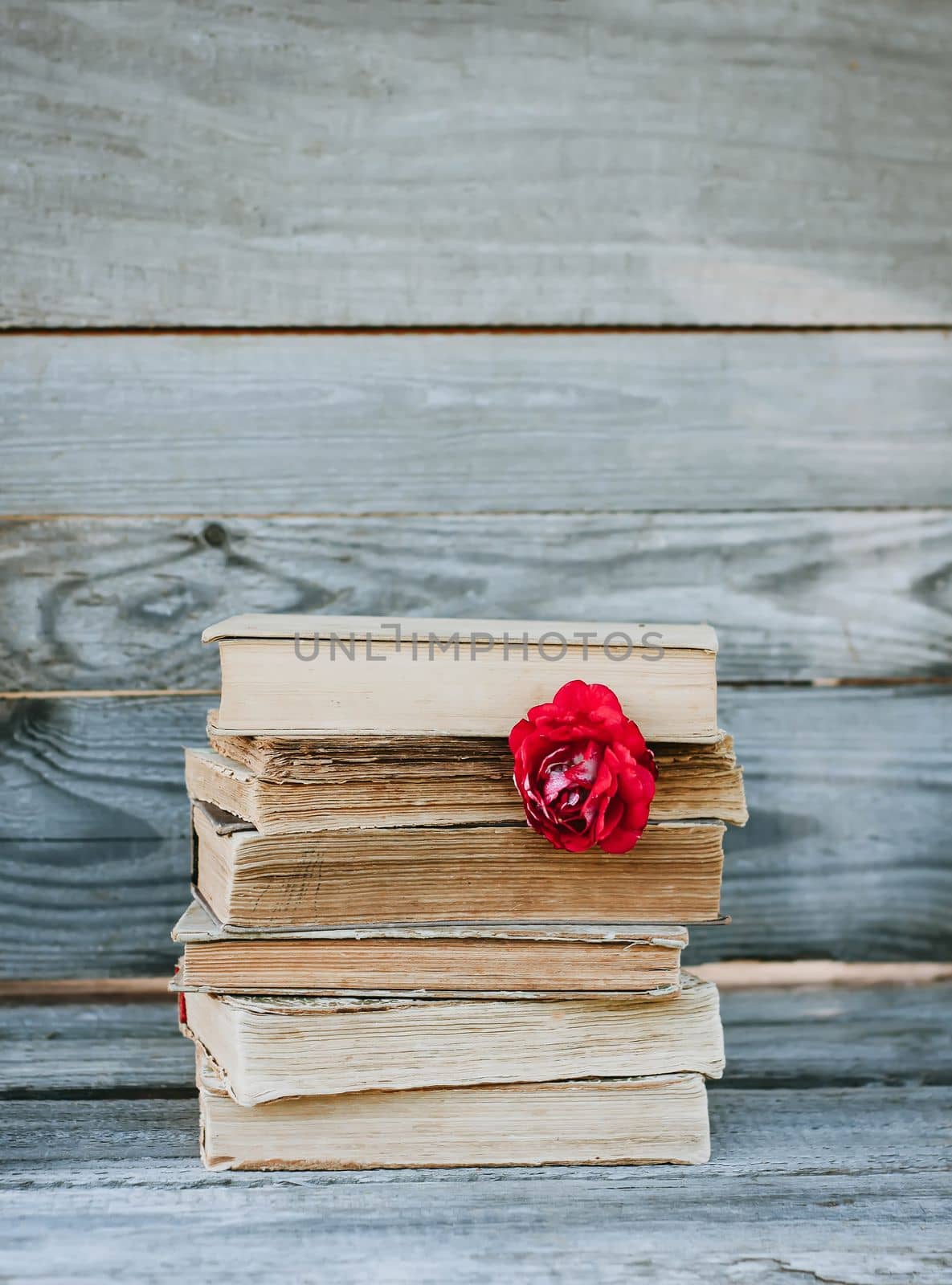 Vintage card with stack of old books and red rose flower outdoors