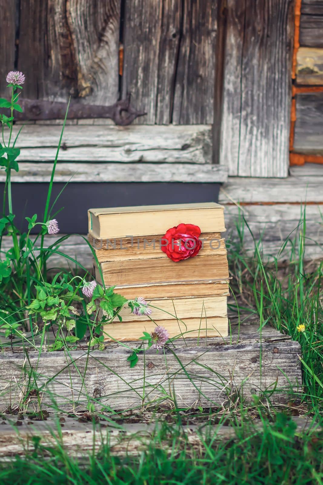 Vintage card with stack of old books and red rose flower outdoors