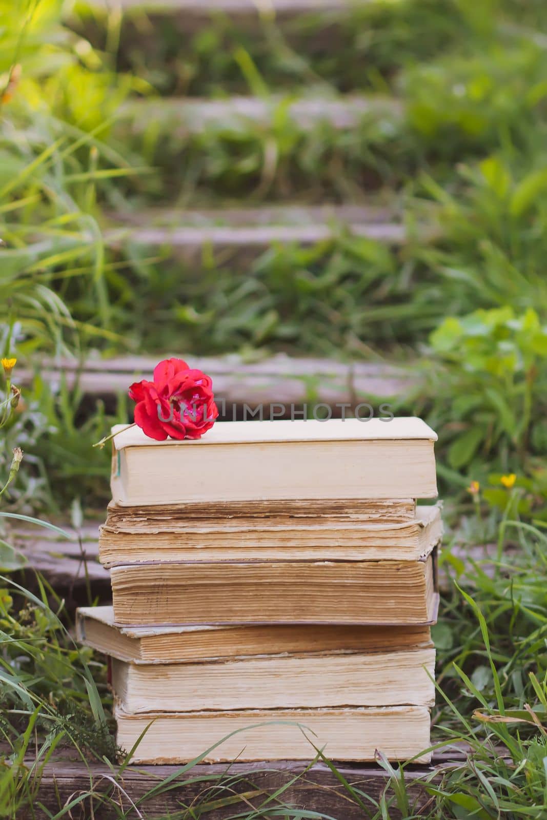 Vintage card with stack of old books and red rose flower outdoors