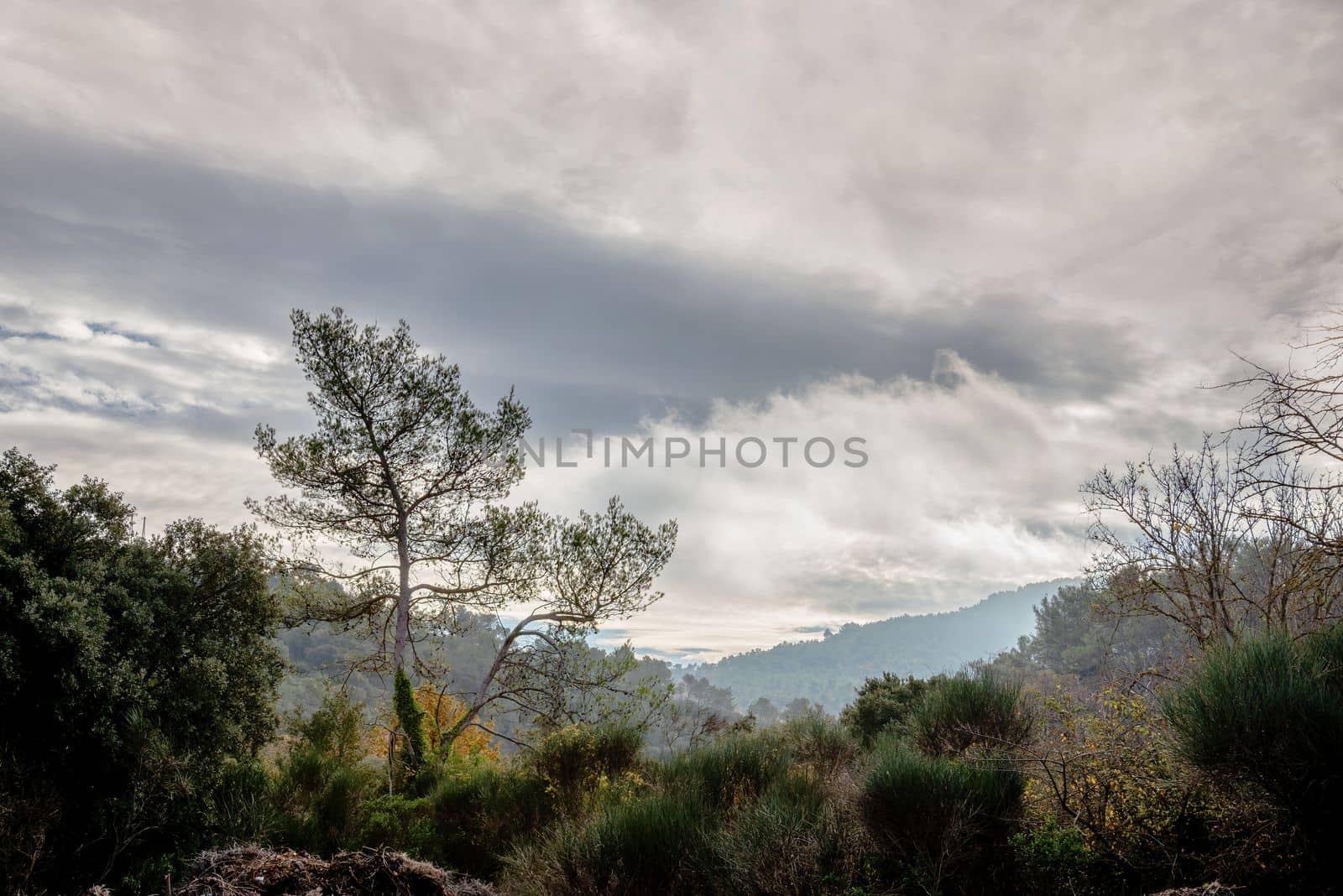 View of the mountains and hills in the Var department in France, in late fall. by MaxalTamor