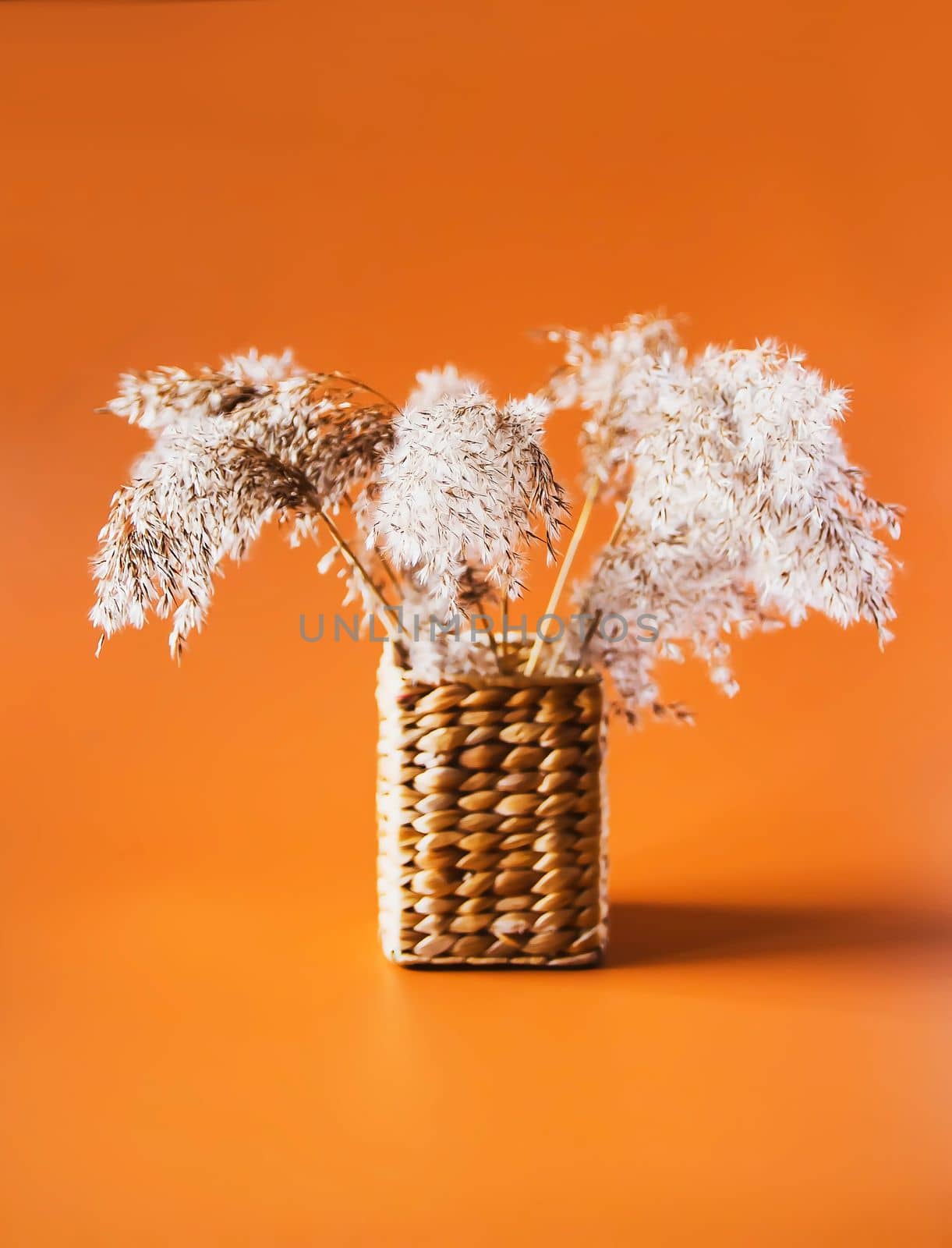 Dry plants in a vase. Interior decor. by nightlyviolet