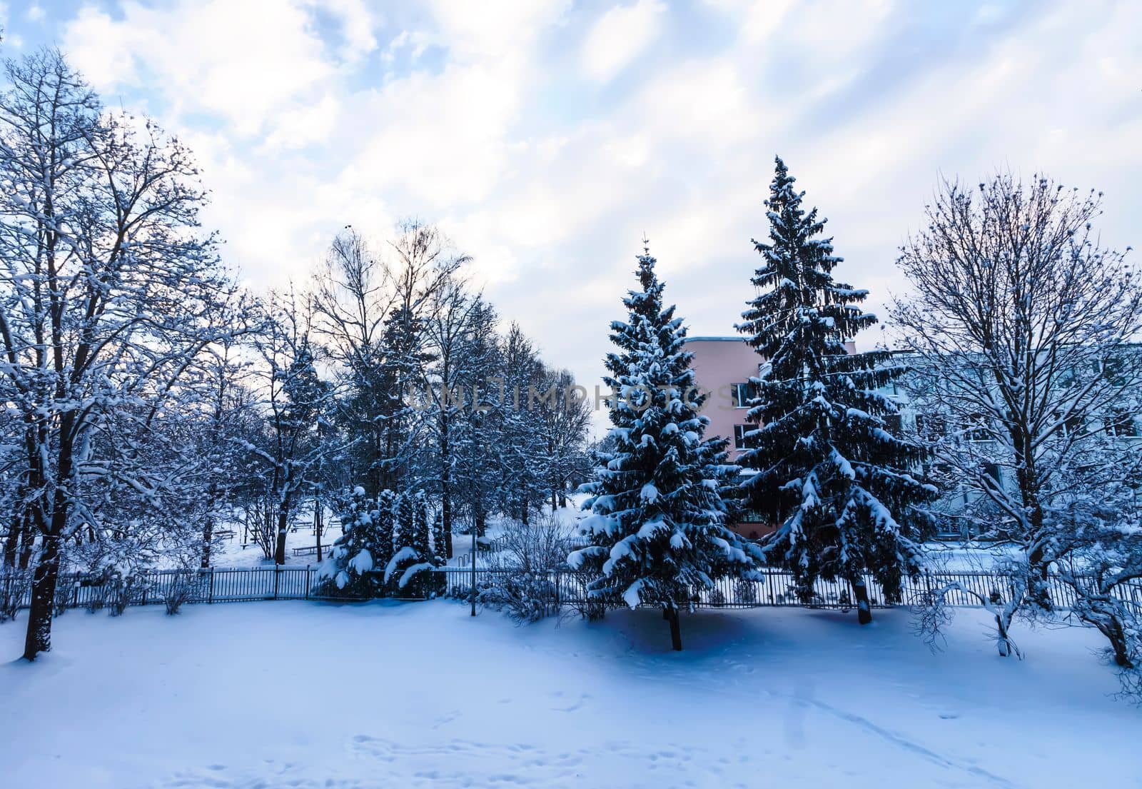 Winter urban landscape with snow-covered trees.