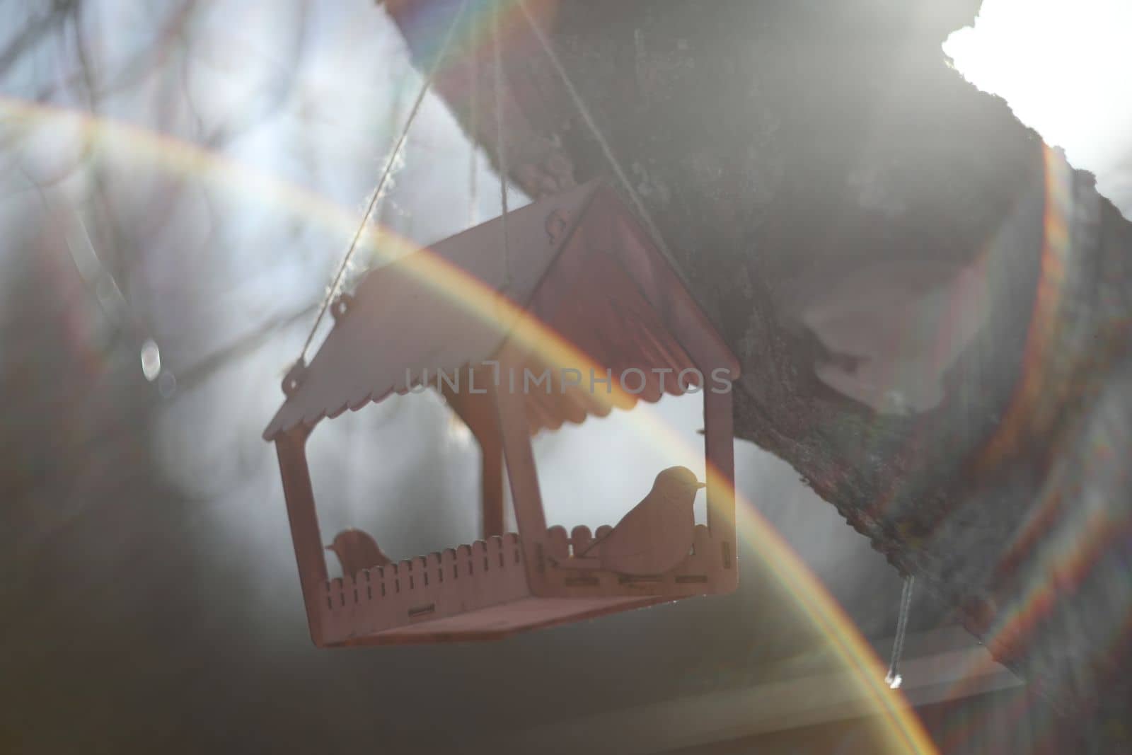 Close-up of a bird feeder on a tree under the snow in the forest