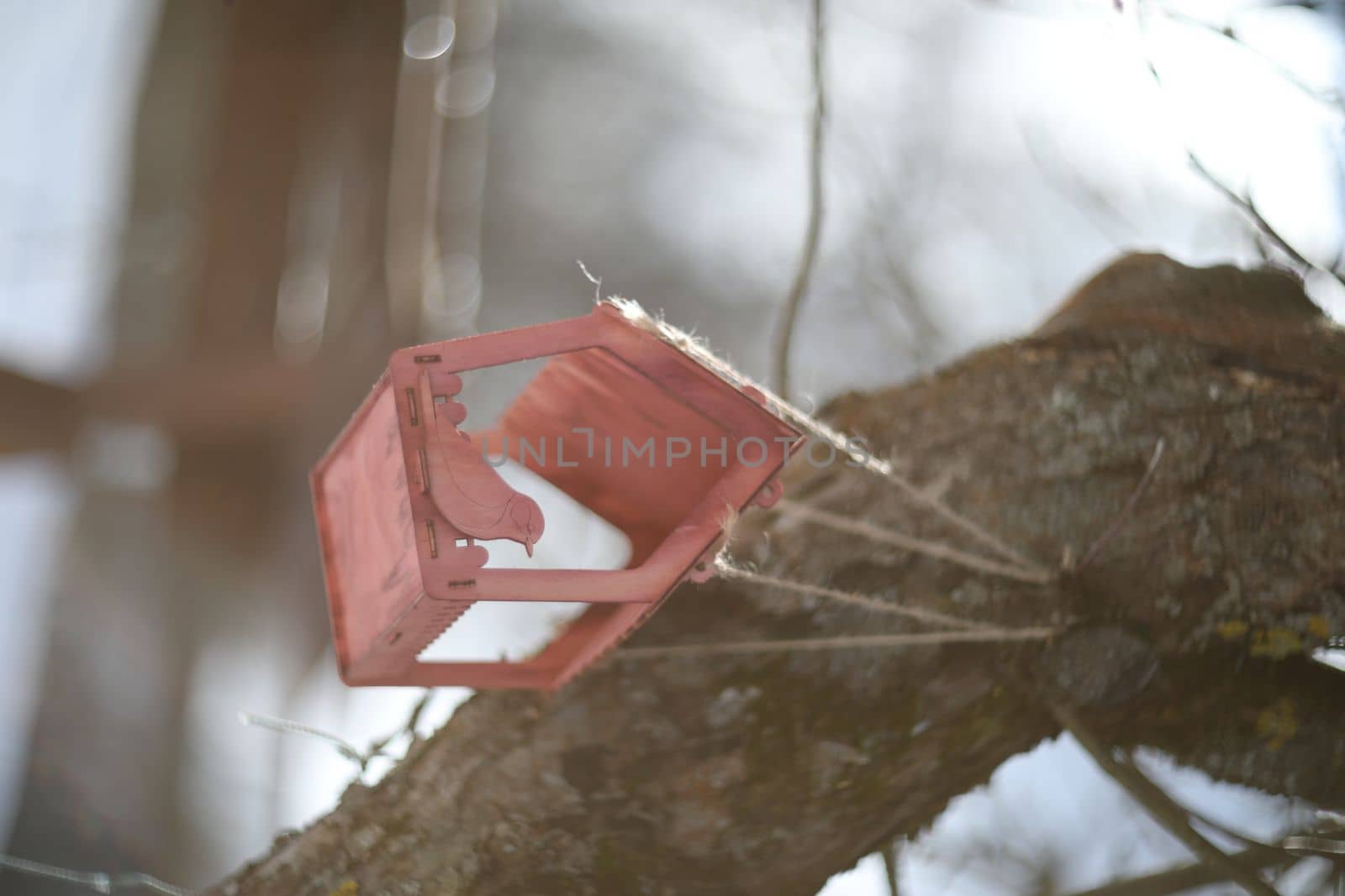 Close-up of a bird feeder on a tree under the snow in the forest