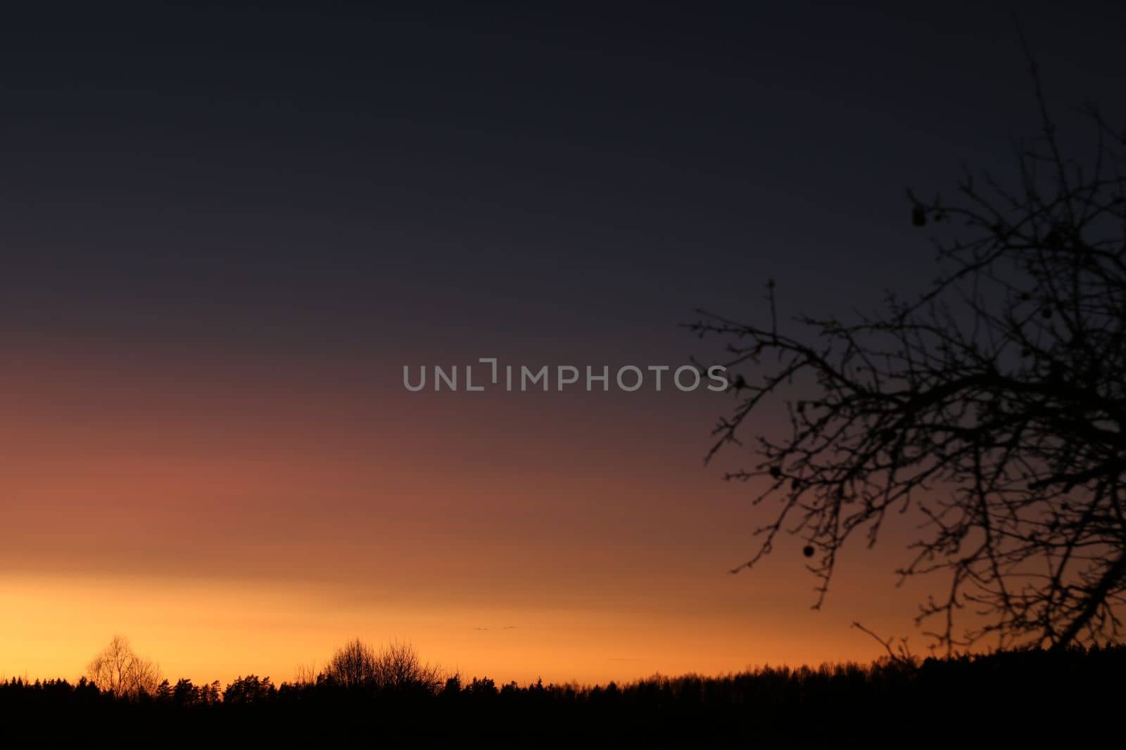 Real amazing panoramic sunrise or sunset sky with colorful clouds. Gradient color. Sky texture, abstract nature background.