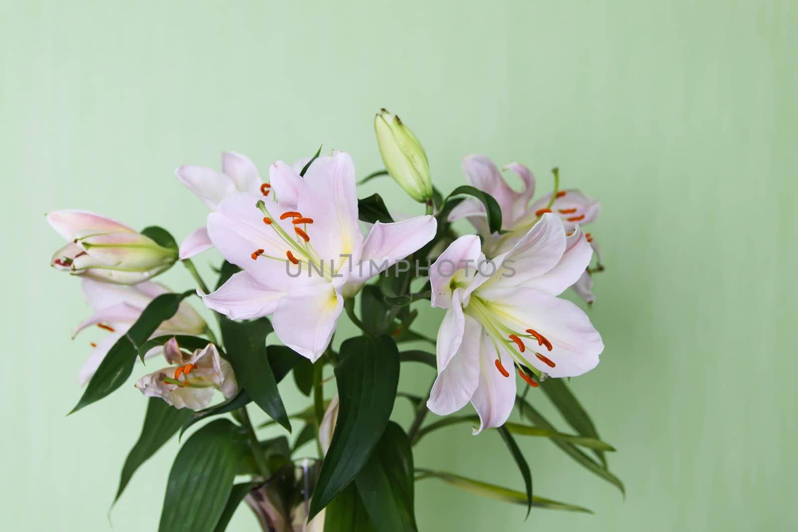 Beautiful white lily flowers in a bouquet. Elegant floral decor.