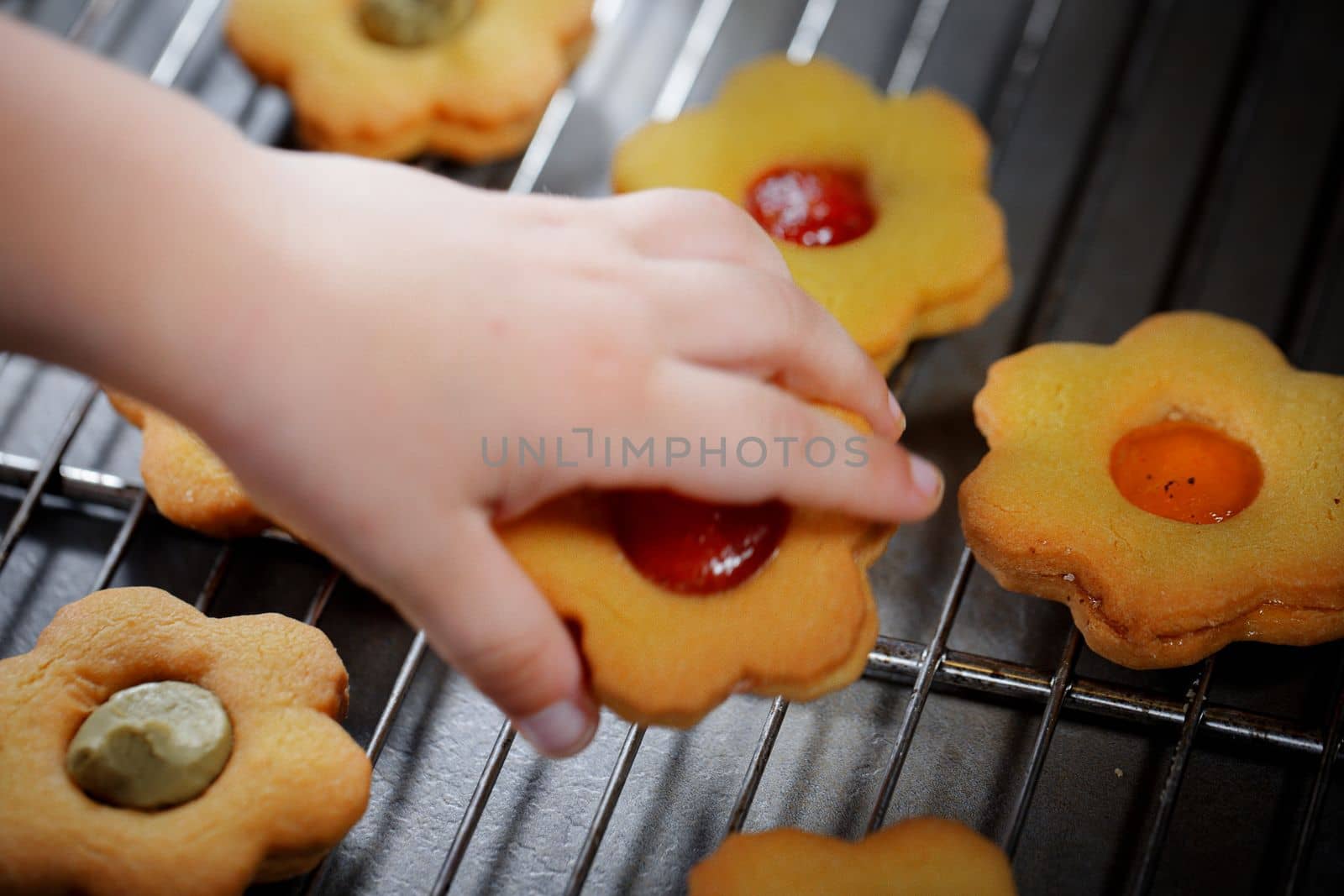 Tasty traditional homemade gingerbread Christmas cookies on grey. Close up view. Space for text.