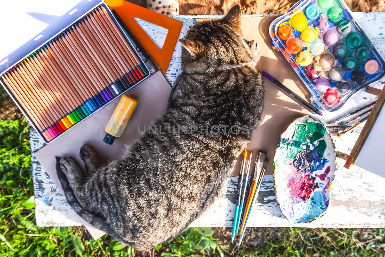 Lazy cat lying on the table with school supplies. by nightlyviolet