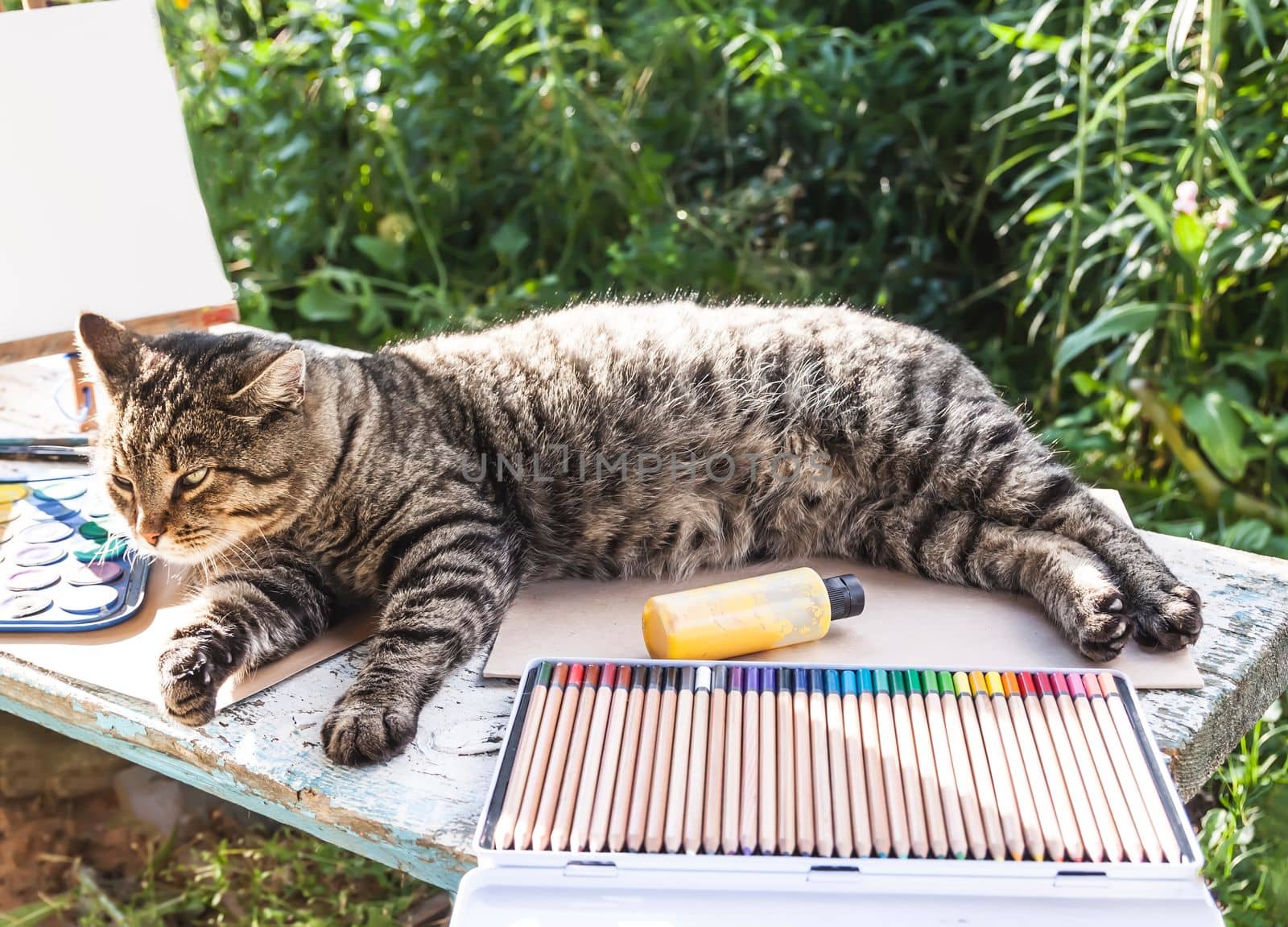 Lazy cat lying on the table with school supplies. by nightlyviolet