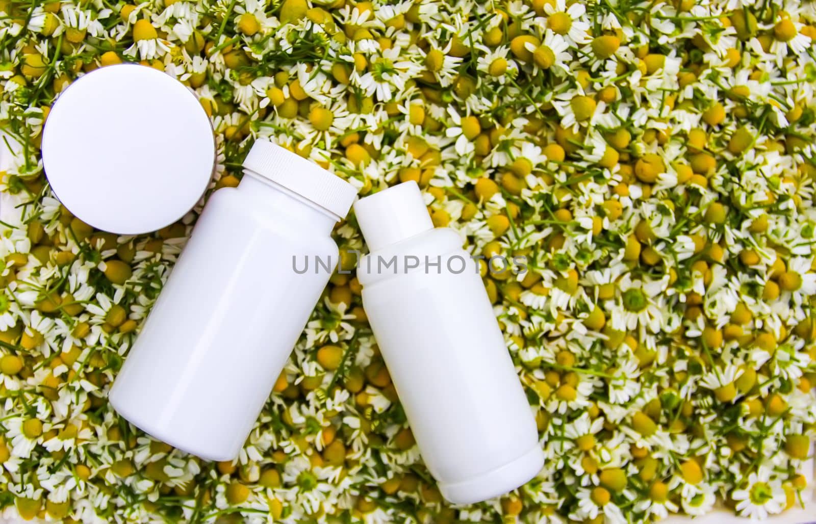 White plastic containers and Chamomile flowers for cosmetic products, herbal tea or treatment.