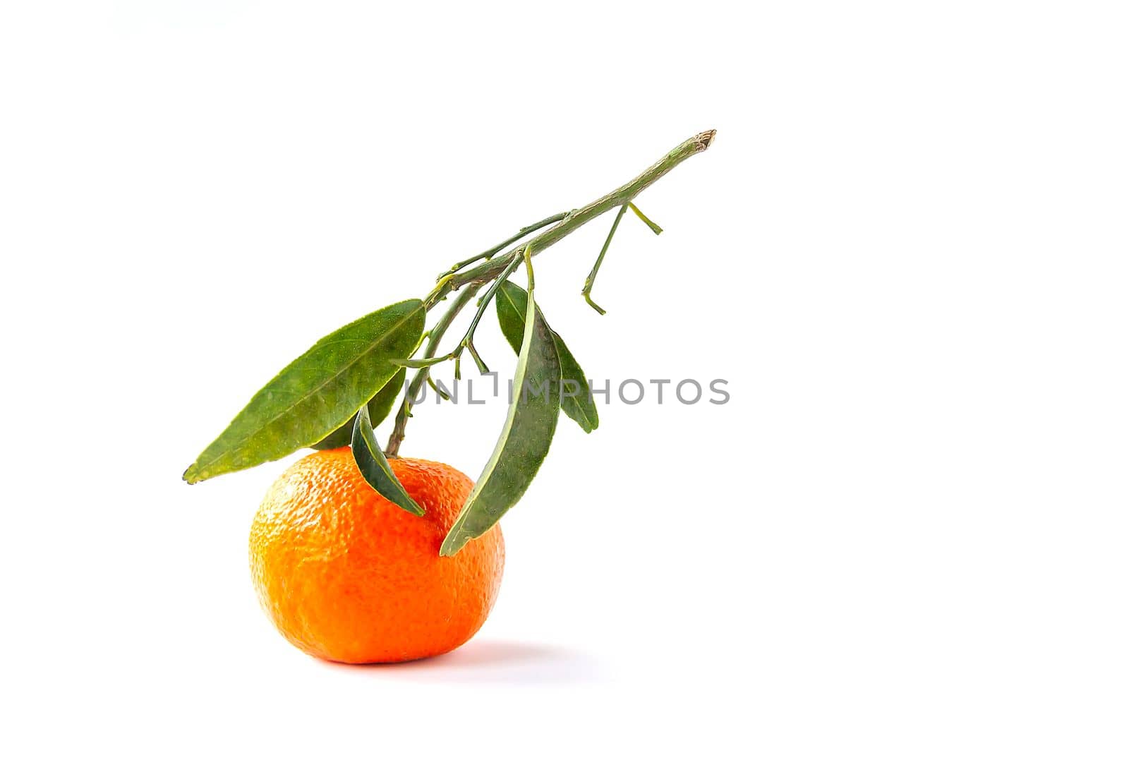 Orange fruit with green leaves on white background. by nightlyviolet