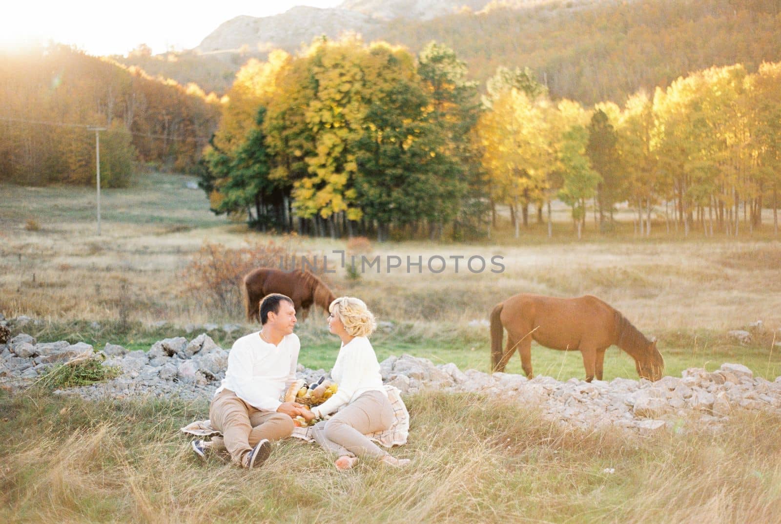 Man and woman sitting on a blanket on a lawn near grazing horses. High quality photo