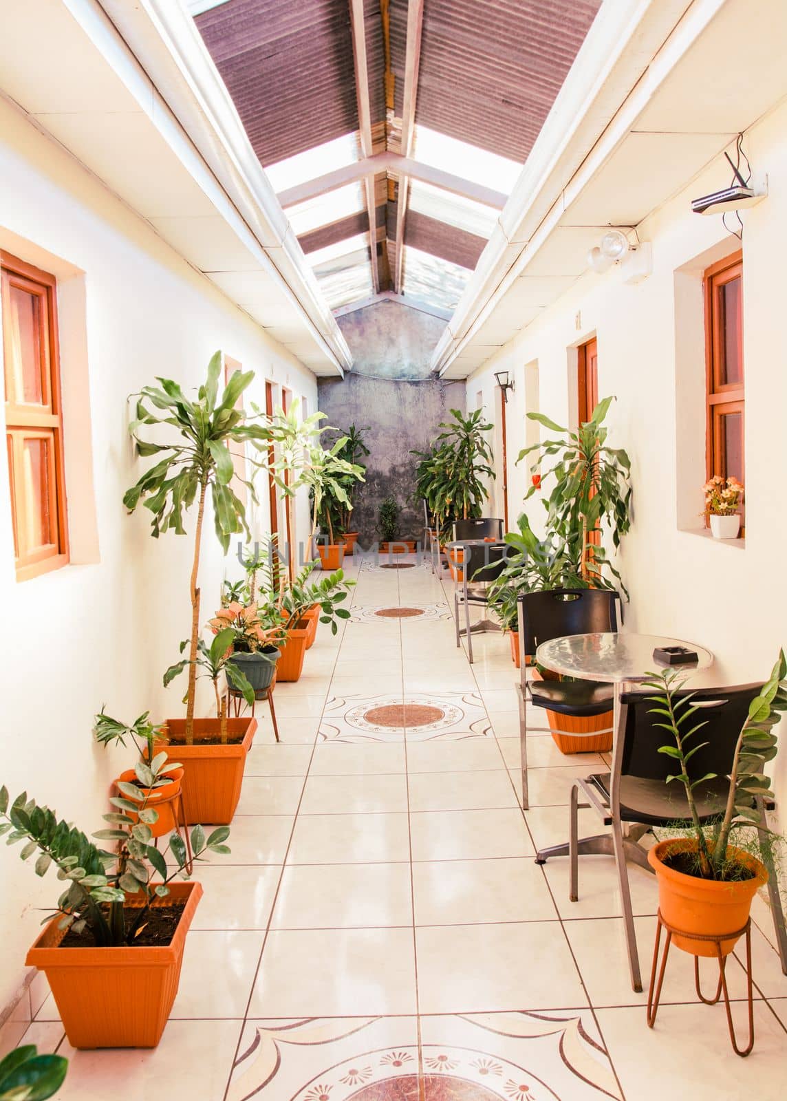 A hotel corridor with pots of natural plants. Corridors of a tropical hotel